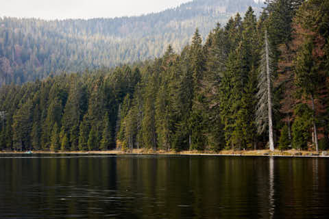 Gemeinde Bayerisch_Eisenstein Landkreis Regen Großer Arbersee (Dirschl Johann) Deutschland REG